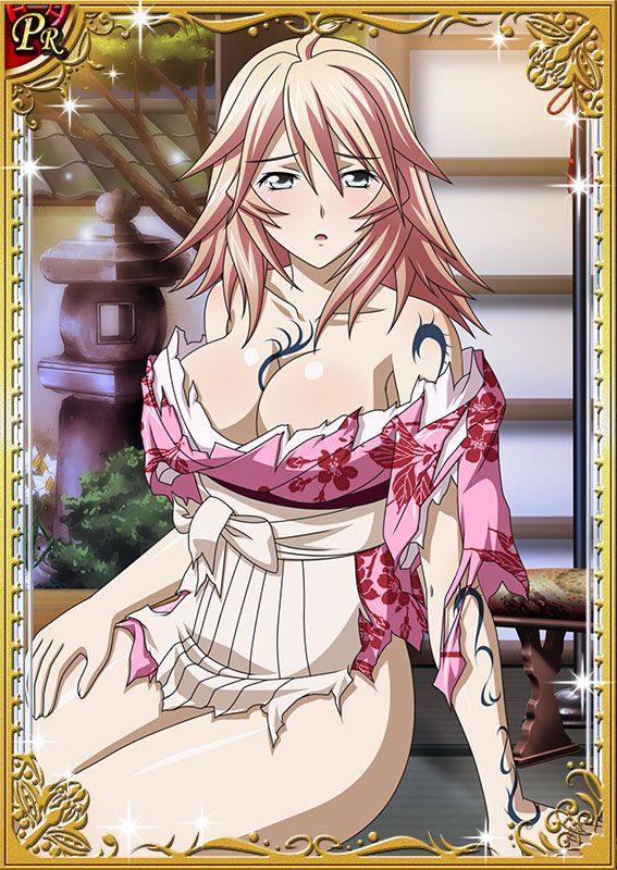 Ikkitousen Cards Coleccyion  Shiba'i Chuutatsu set 40