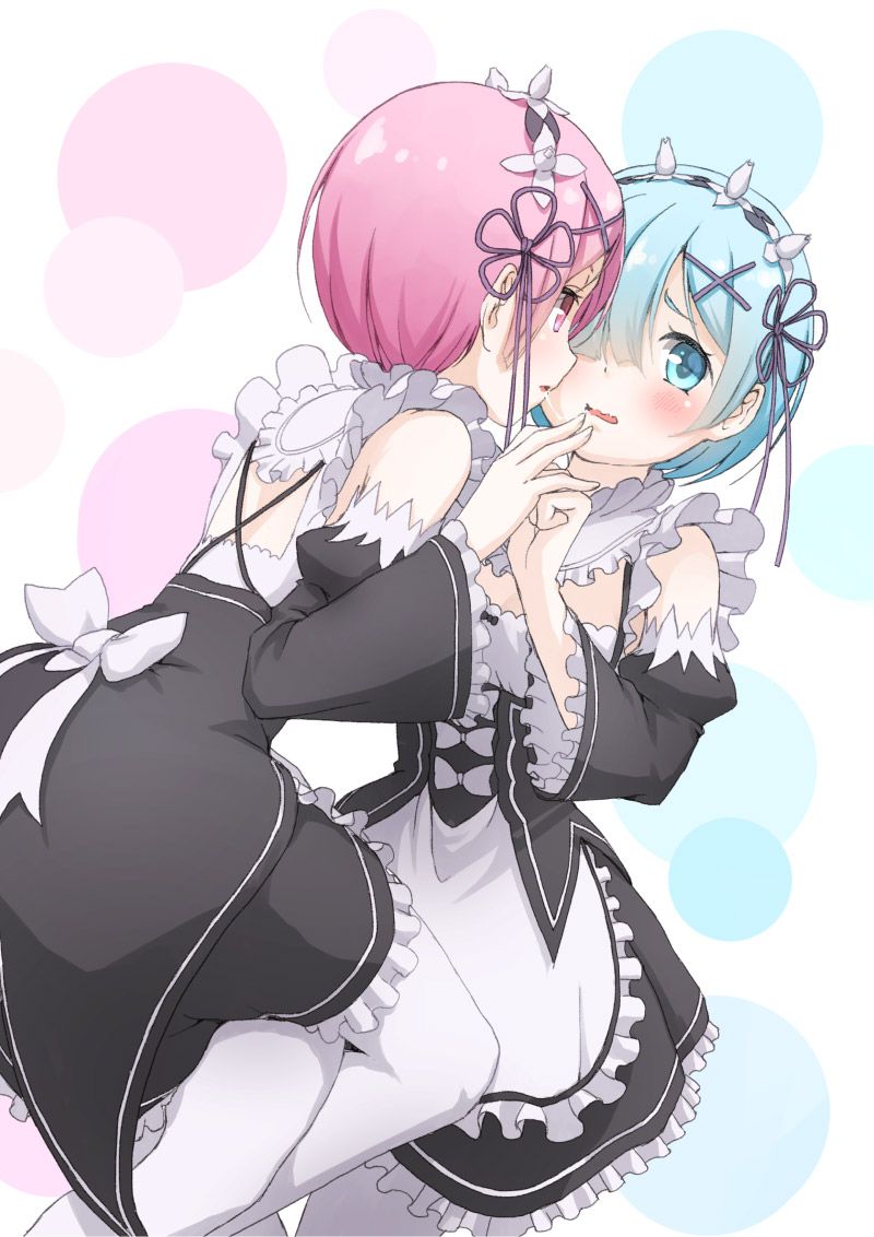 2D Re: less erotic image of REM Rin of different world life starting from zero [re-zero] 57 sheets 10