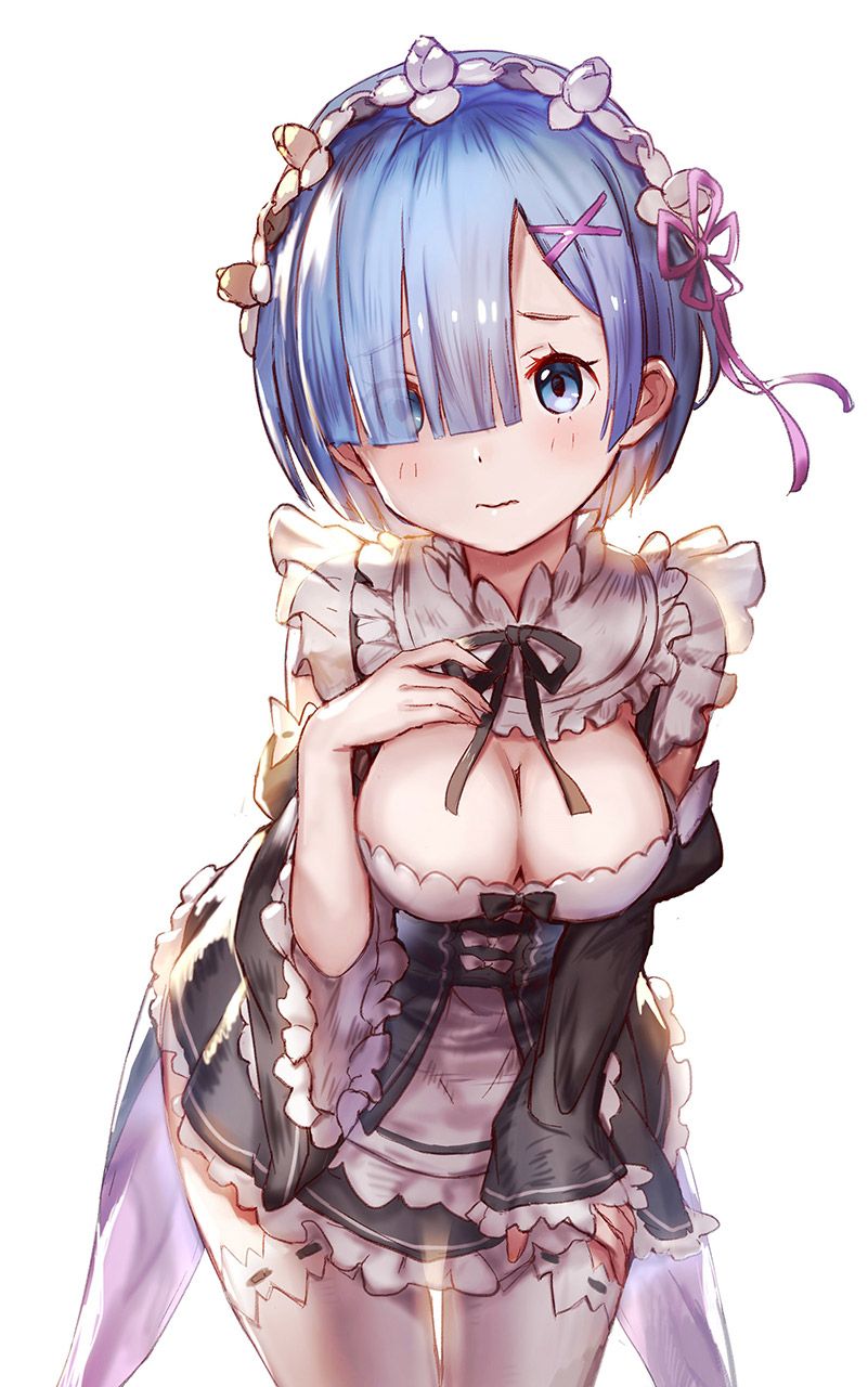 2D Re: less erotic image of REM Rin of different world life starting from zero [re-zero] 57 sheets 11
