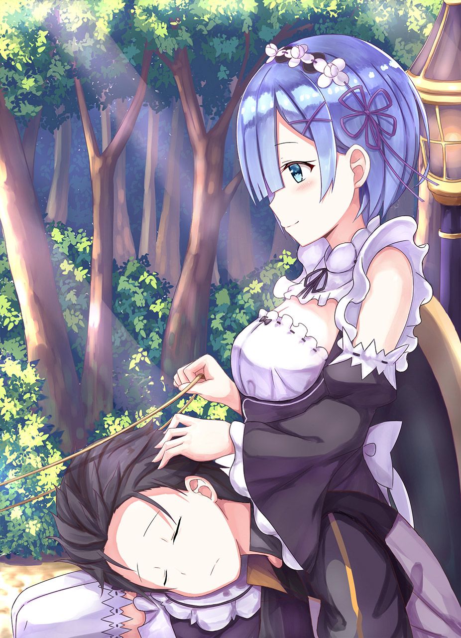 2D Re: less erotic image of REM Rin of different world life starting from zero [re-zero] 57 sheets 19