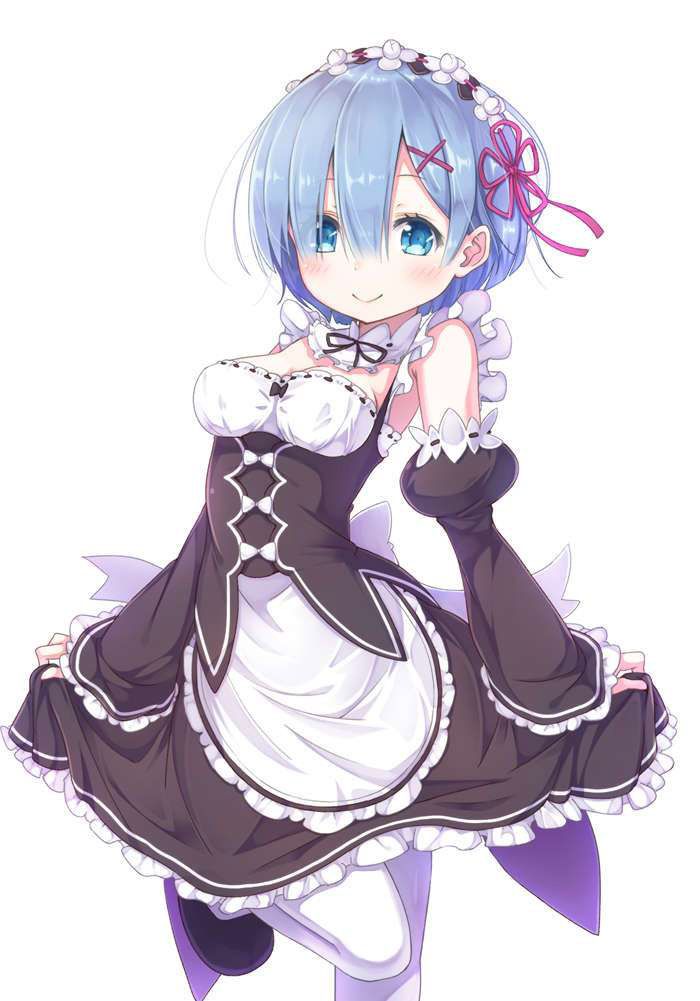 2D Re: less erotic image of REM Rin of different world life starting from zero [re-zero] 57 sheets 2
