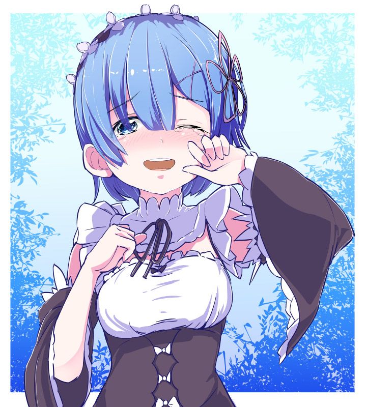 2D Re: less erotic image of REM Rin of different world life starting from zero [re-zero] 57 sheets 25