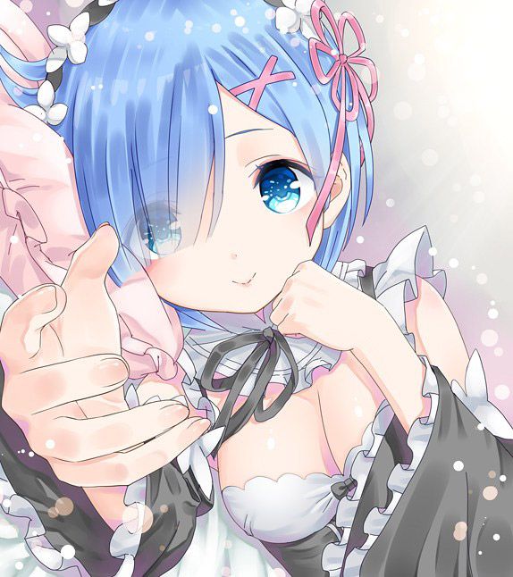 2D Re: less erotic image of REM Rin of different world life starting from zero [re-zero] 57 sheets 3