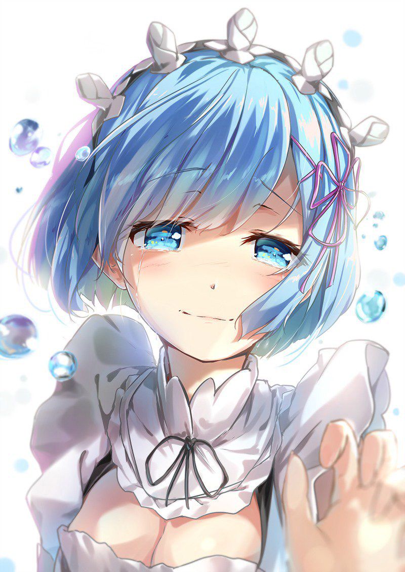 2D Re: less erotic image of REM Rin of different world life starting from zero [re-zero] 57 sheets 31