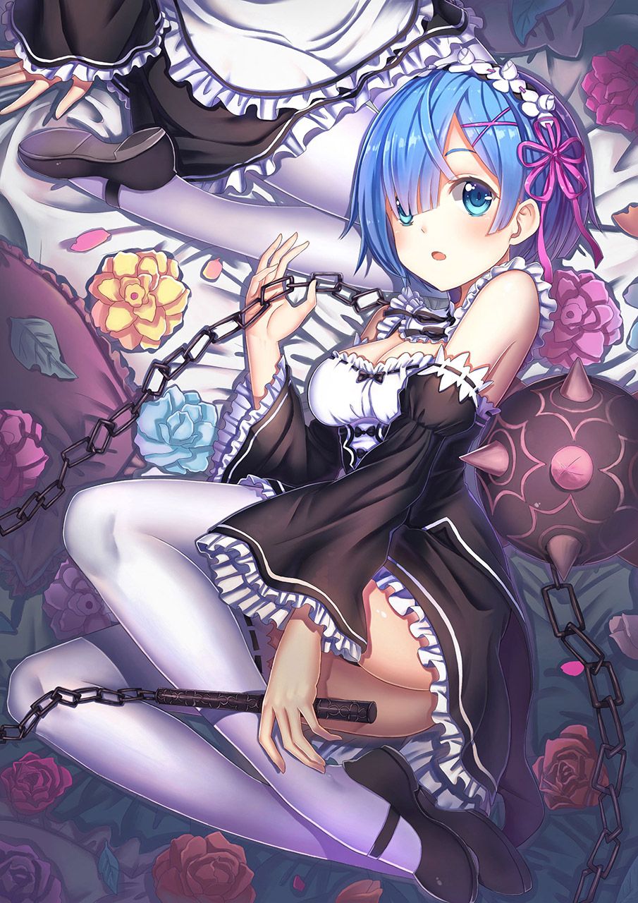 2D Re: less erotic image of REM Rin of different world life starting from zero [re-zero] 57 sheets 33