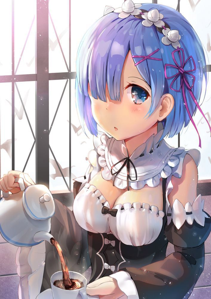 2D Re: less erotic image of REM Rin of different world life starting from zero [re-zero] 57 sheets 35