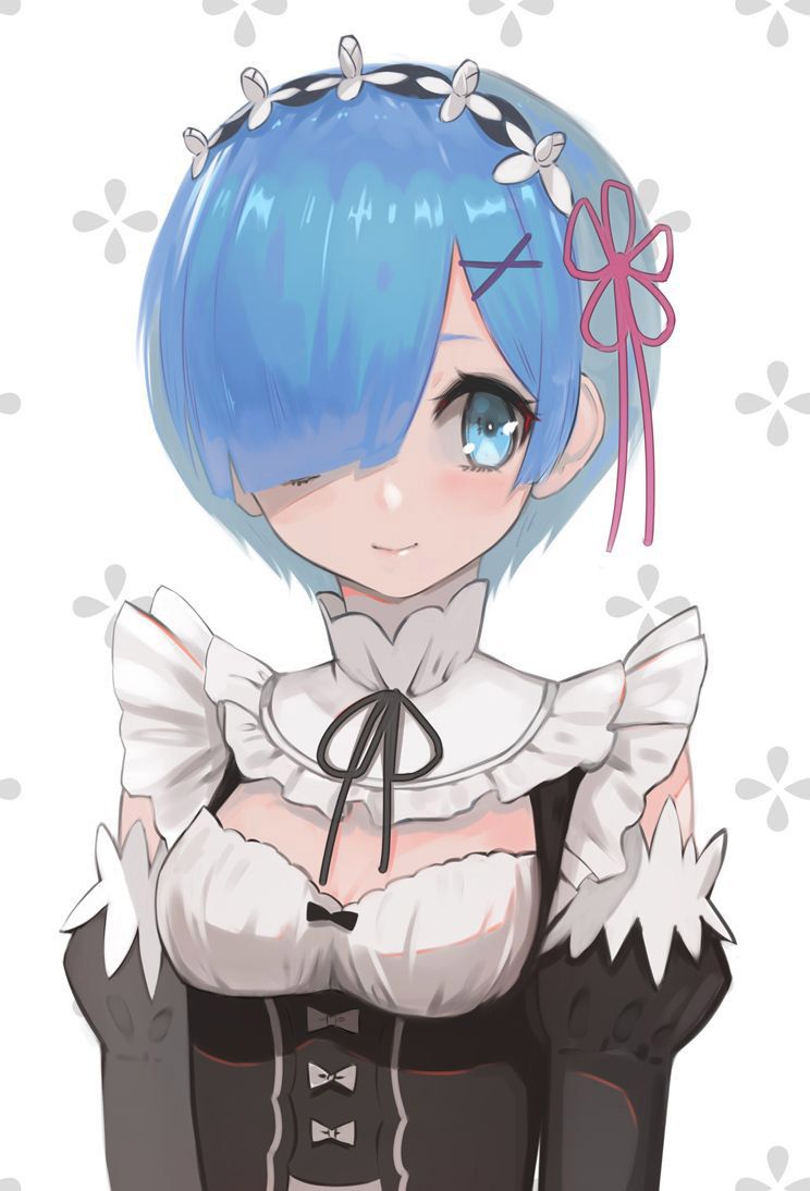 2D Re: less erotic image of REM Rin of different world life starting from zero [re-zero] 57 sheets 36