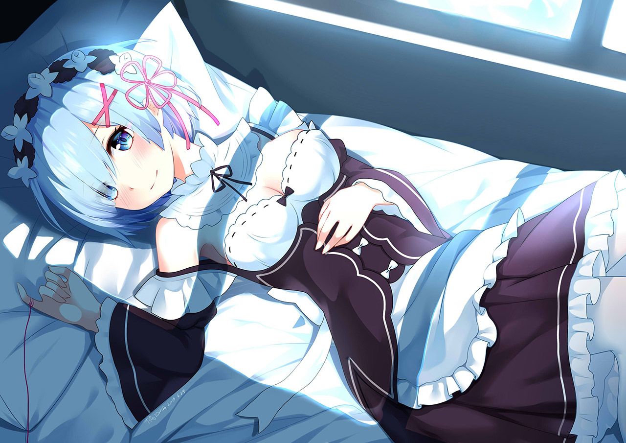 2D Re: less erotic image of REM Rin of different world life starting from zero [re-zero] 57 sheets 37