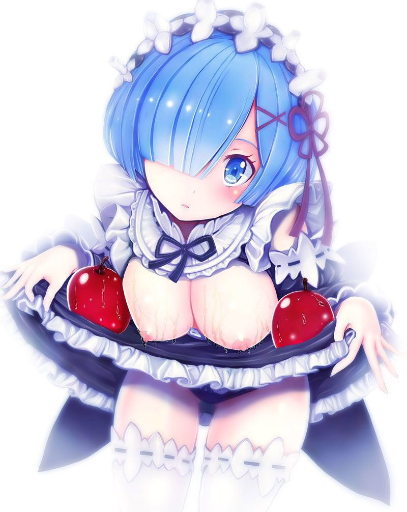 2D Re: less erotic image of REM Rin of different world life starting from zero [re-zero] 57 sheets 43
