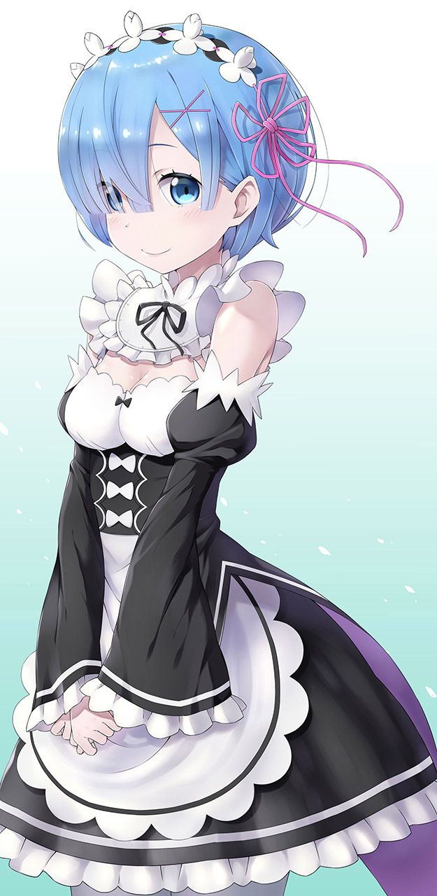 2D Re: less erotic image of REM Rin of different world life starting from zero [re-zero] 57 sheets 44