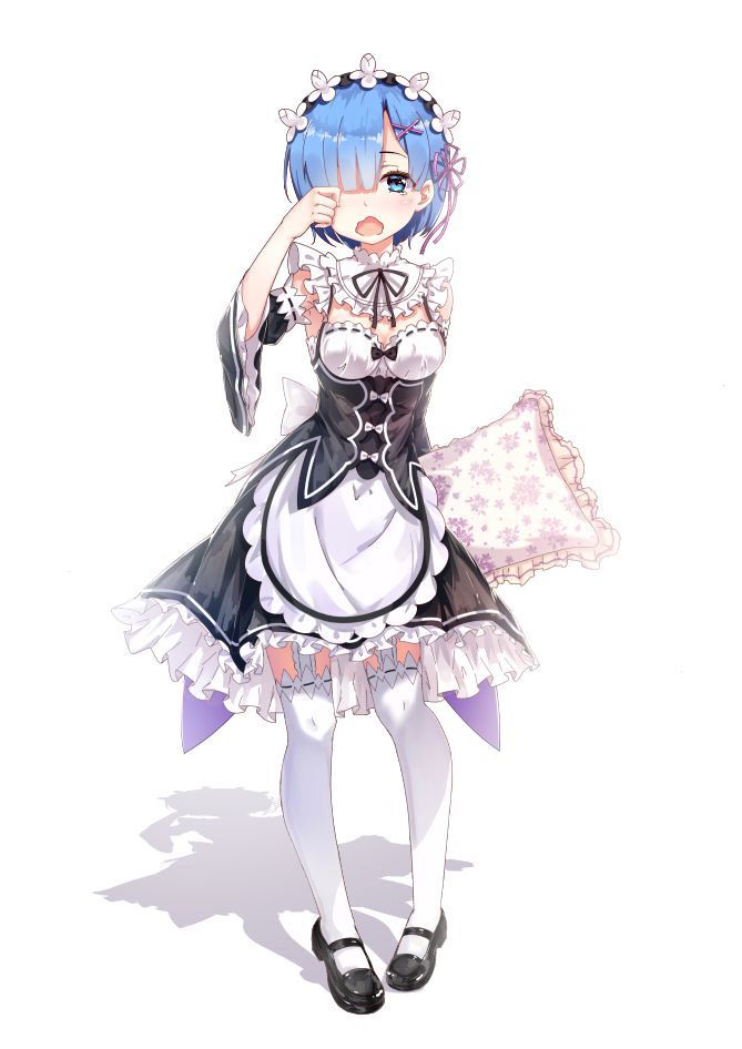 2D Re: less erotic image of REM Rin of different world life starting from zero [re-zero] 57 sheets 46