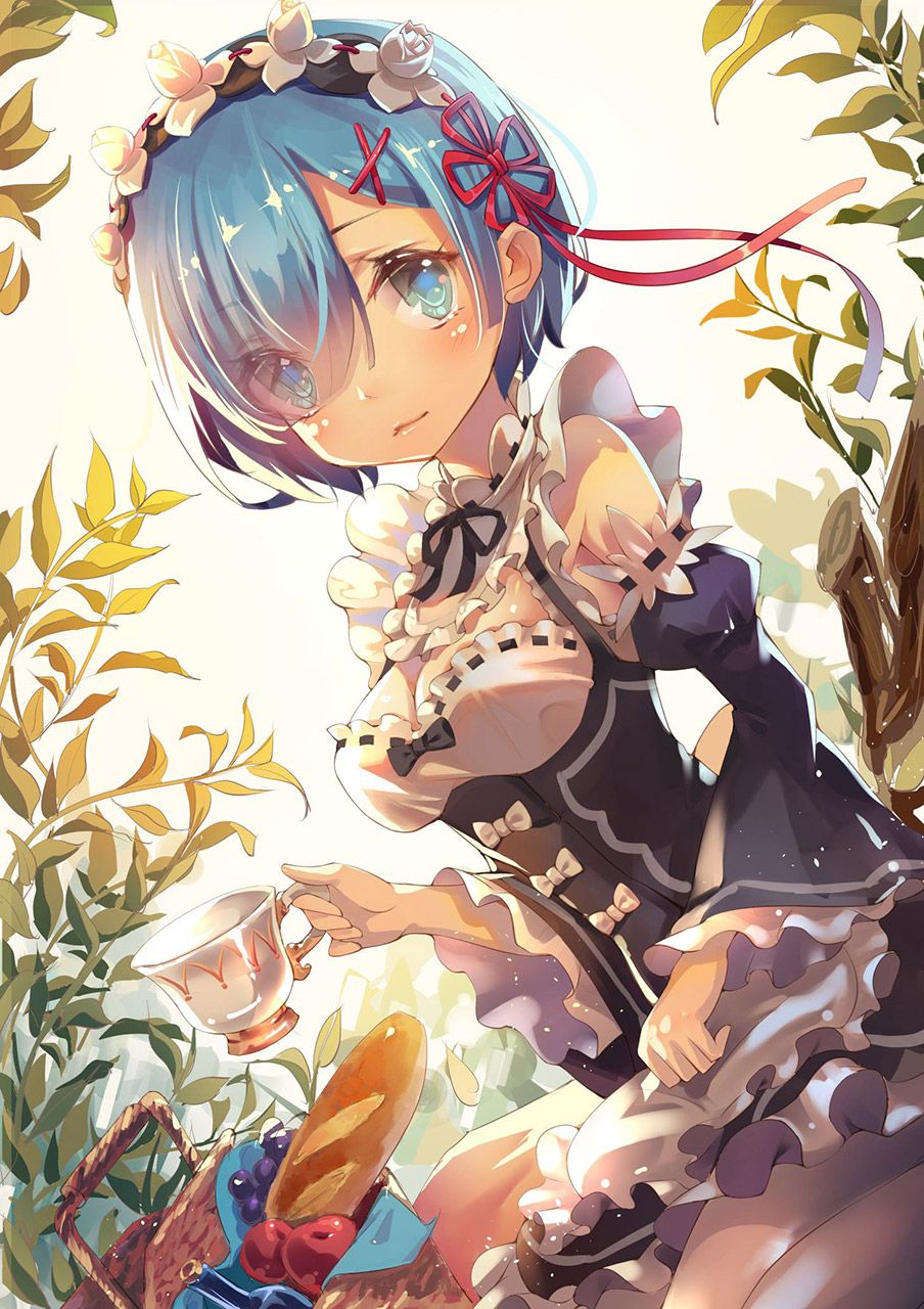 2D Re: less erotic image of REM Rin of different world life starting from zero [re-zero] 57 sheets 48