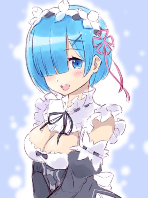 2D Re: less erotic image of REM Rin of different world life starting from zero [re-zero] 57 sheets 7