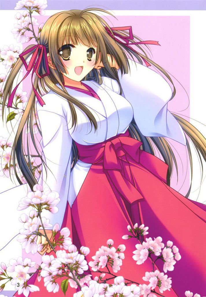 Please take a secondary picture of a shrine maiden! 13