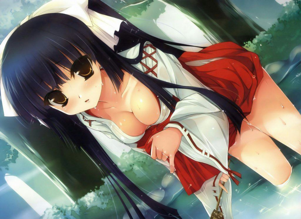 Please take a secondary picture of a shrine maiden! 7