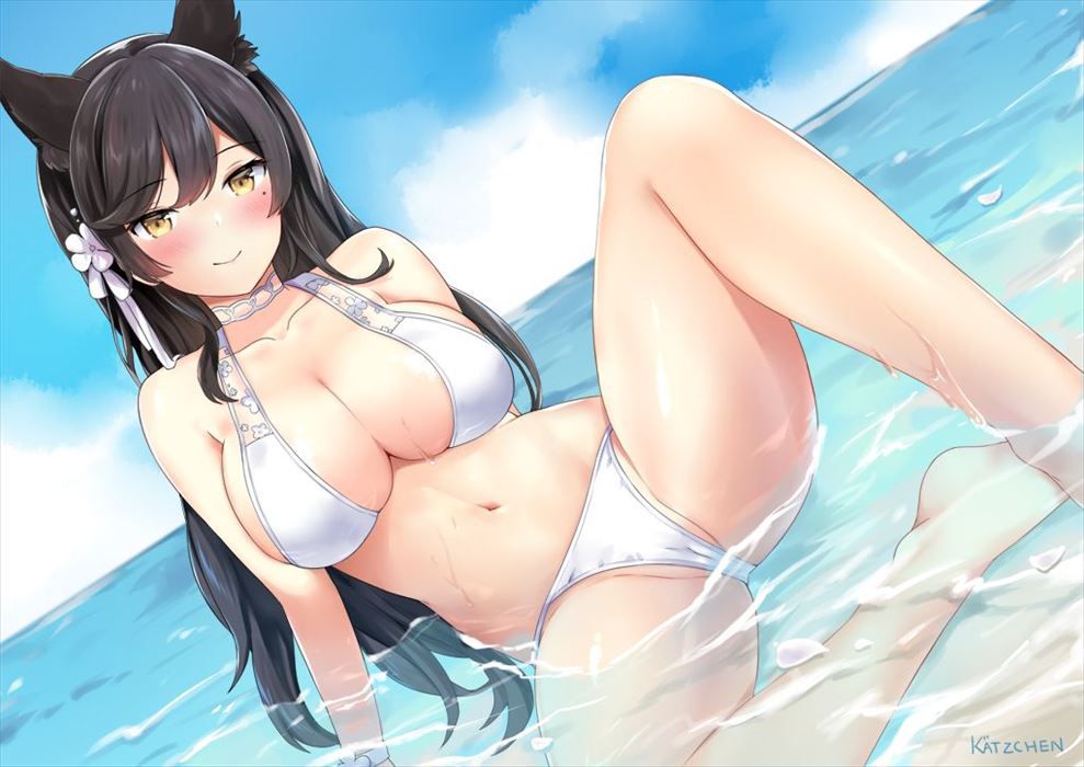 Assortment of erotic images in Azure Lane 14