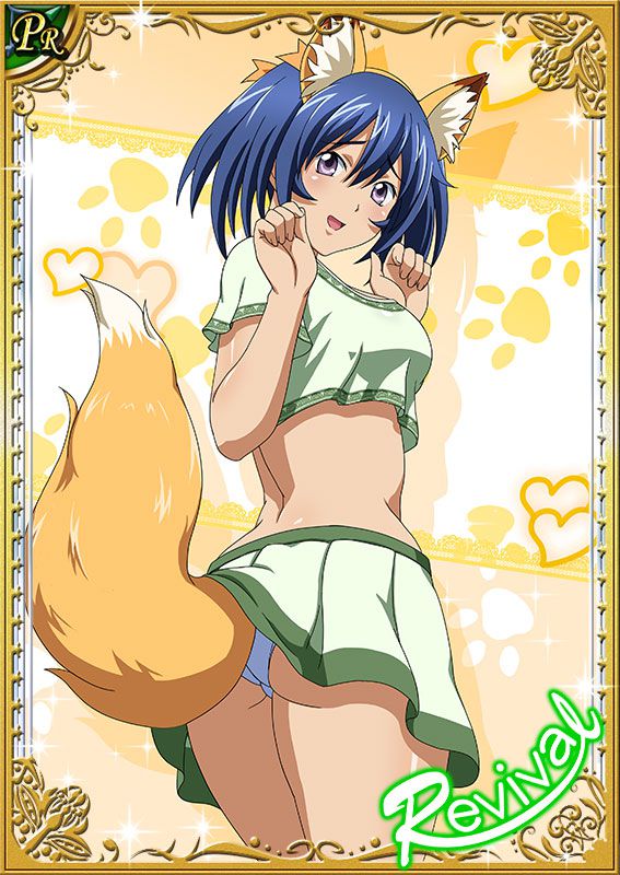 Ikkitousen Cards Coleccyion Bashoku Youjou set 185