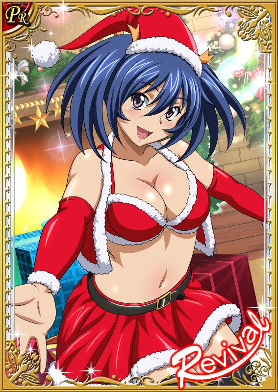 Ikkitousen Cards Coleccyion Bashoku Youjou set 214