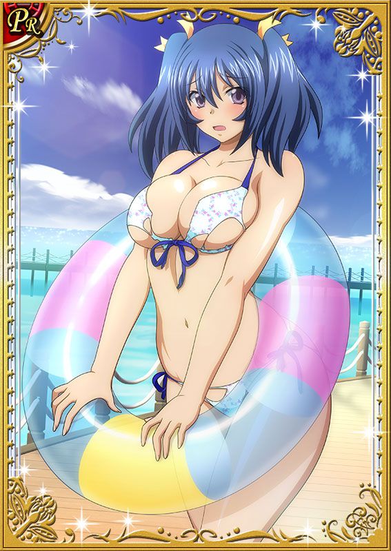 Ikkitousen Cards Coleccyion Bashoku Youjou set 233