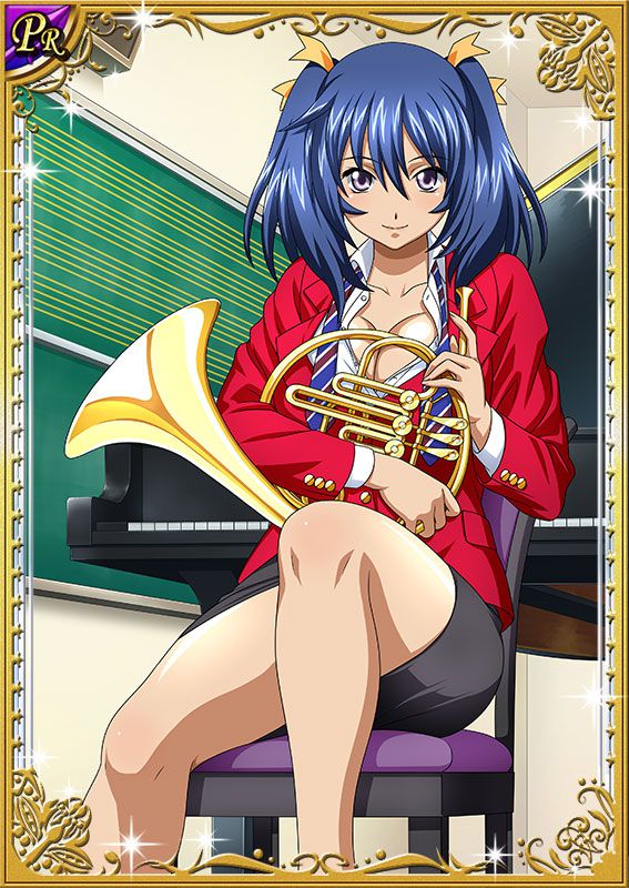 Ikkitousen Cards Coleccyion Bashoku Youjou set 236