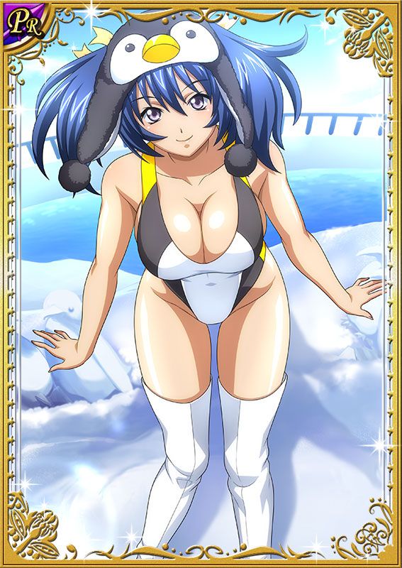 Ikkitousen Cards Coleccyion Bashoku Youjou set 239