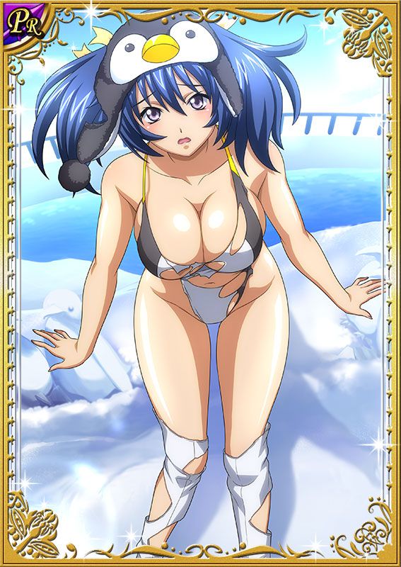 Ikkitousen Cards Coleccyion Bashoku Youjou set 240