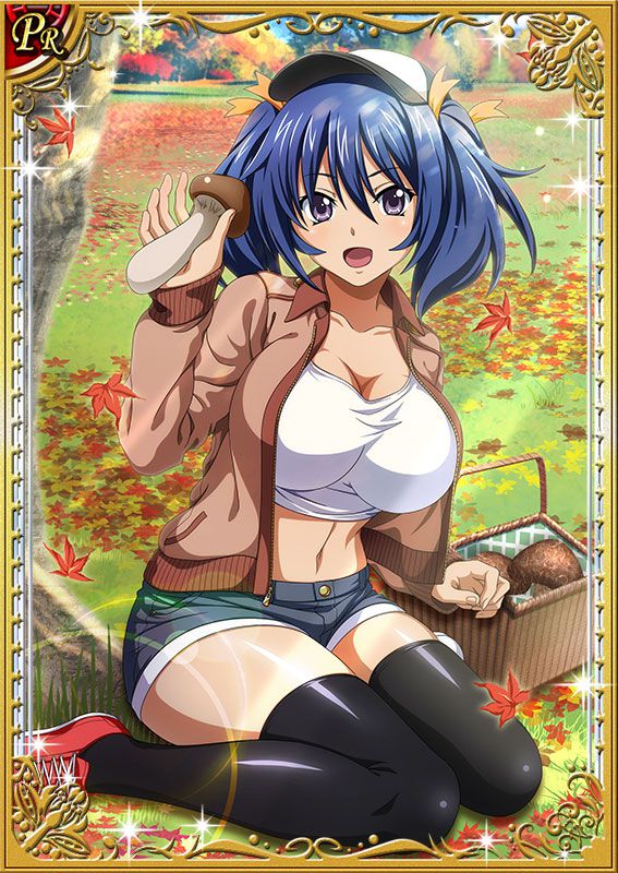 Ikkitousen Cards Coleccyion Bashoku Youjou set 242