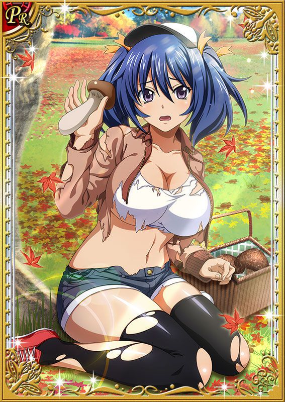 Ikkitousen Cards Coleccyion Bashoku Youjou set 243