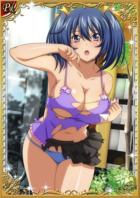 Ikkitousen Cards Coleccyion Bashoku Youjou set 269