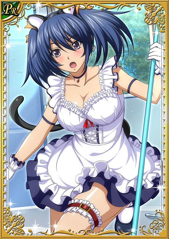 Ikkitousen Cards Coleccyion Bashoku Youjou set 314