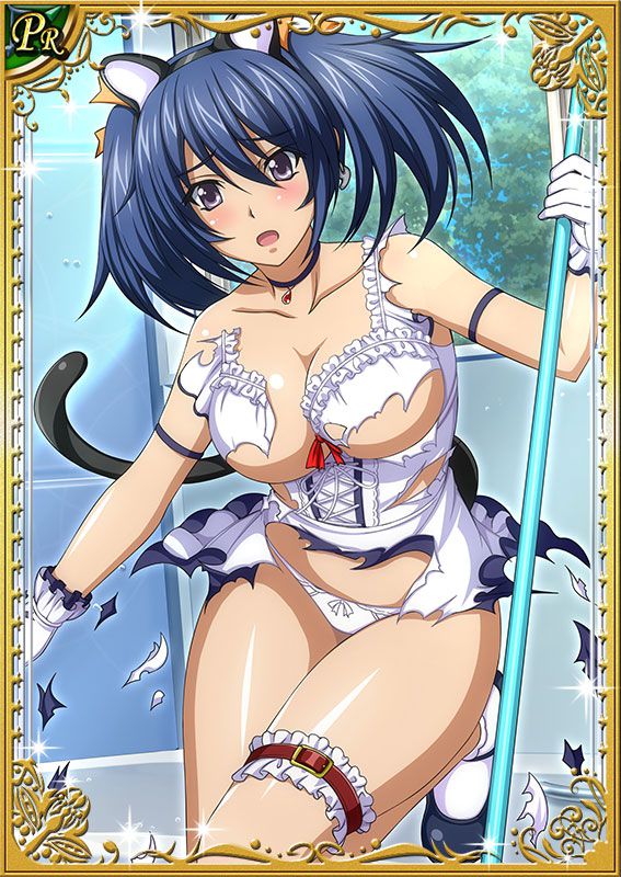 Ikkitousen Cards Coleccyion Bashoku Youjou set 315