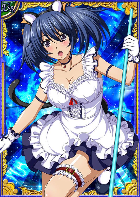 Ikkitousen Cards Coleccyion Bashoku Youjou set 316