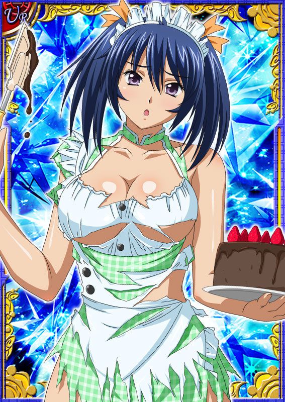 Ikkitousen Cards Coleccyion Bashoku Youjou set 33