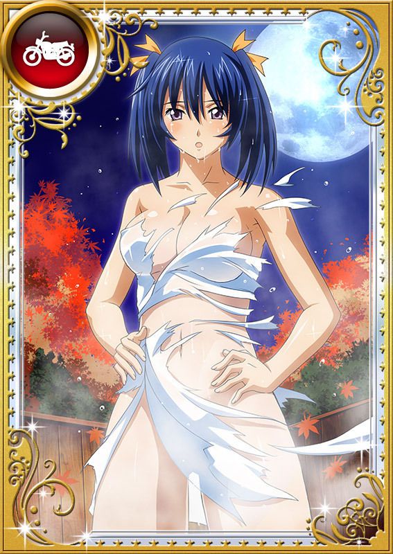 Ikkitousen Cards Coleccyion Bashoku Youjou set 330