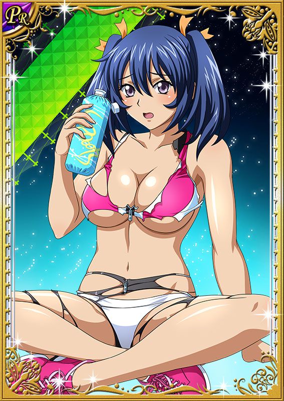 Ikkitousen Cards Coleccyion Bashoku Youjou set 340