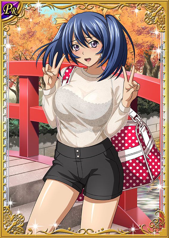 Ikkitousen Cards Coleccyion Bashoku Youjou set 349