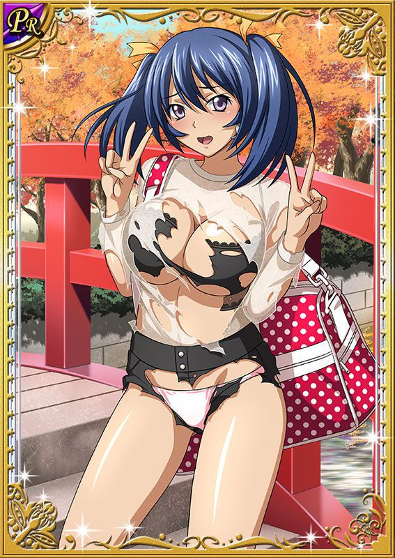 Ikkitousen Cards Coleccyion Bashoku Youjou set 350