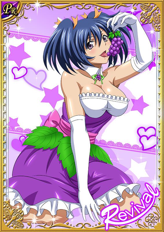 Ikkitousen Cards Coleccyion Bashoku Youjou set 382