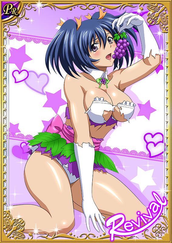 Ikkitousen Cards Coleccyion Bashoku Youjou set 383