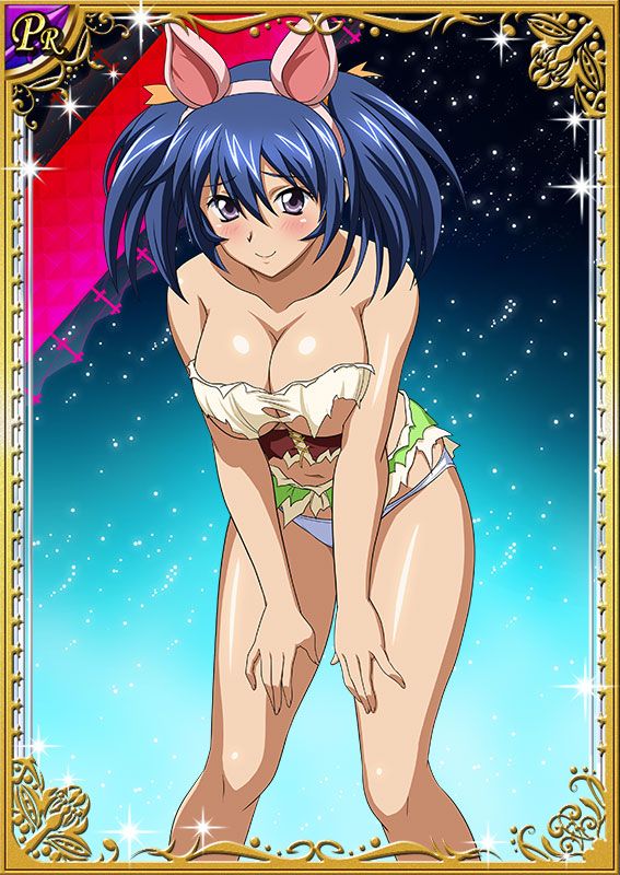 Ikkitousen Cards Coleccyion Bashoku Youjou set 417