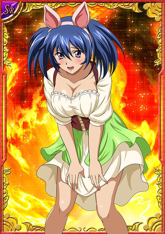 Ikkitousen Cards Coleccyion Bashoku Youjou set 418