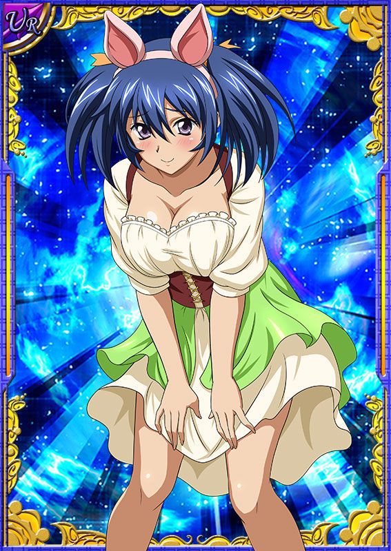 Ikkitousen Cards Coleccyion Bashoku Youjou set 419