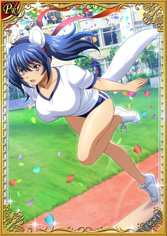 Ikkitousen Cards Coleccyion Bashoku Youjou set 427