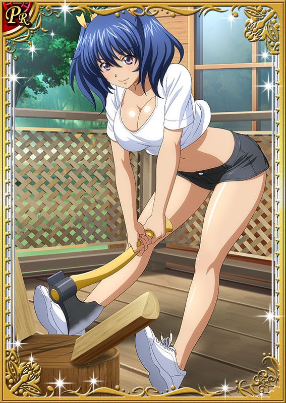 Ikkitousen Cards Coleccyion Bashoku Youjou set 431