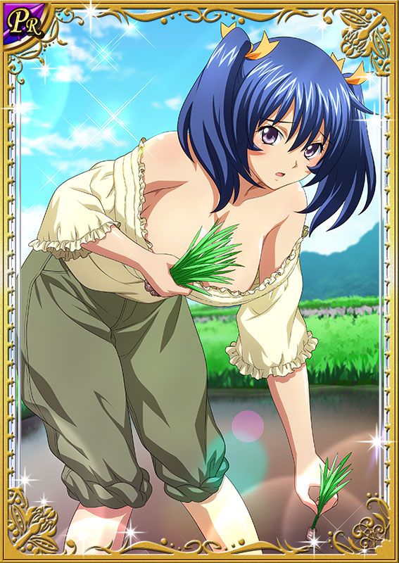 Ikkitousen Cards Coleccyion Bashoku Youjou set 458