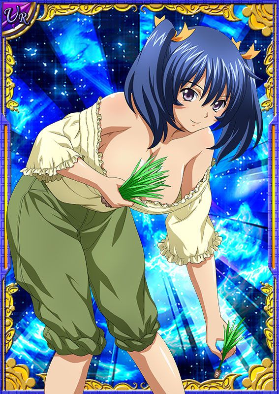 Ikkitousen Cards Coleccyion Bashoku Youjou set 460