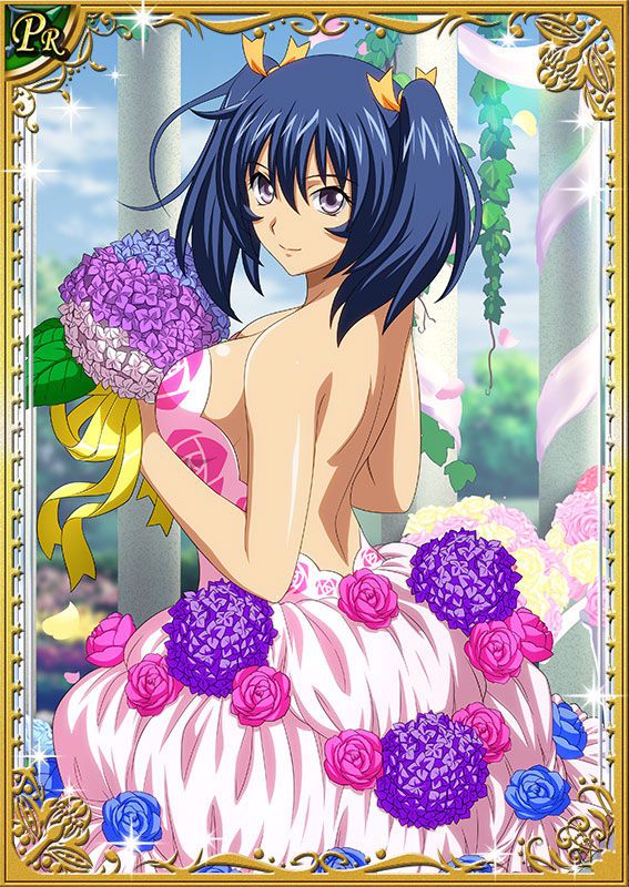 Ikkitousen Cards Coleccyion Bashoku Youjou set 462