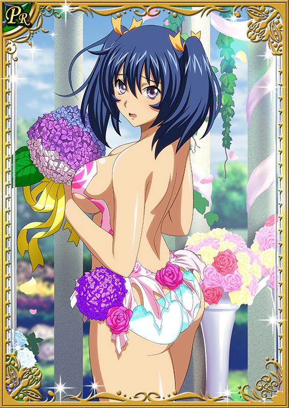 Ikkitousen Cards Coleccyion Bashoku Youjou set 463