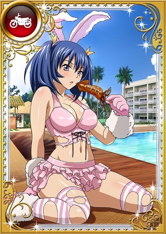 Ikkitousen Cards Coleccyion Bashoku Youjou set 483