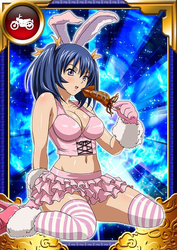 Ikkitousen Cards Coleccyion Bashoku Youjou set 485